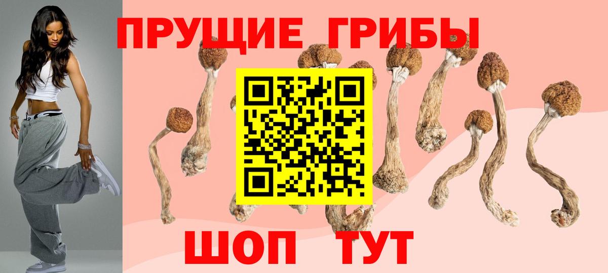 Псилоцибиновые грибы мухоморы Вятские Поляны