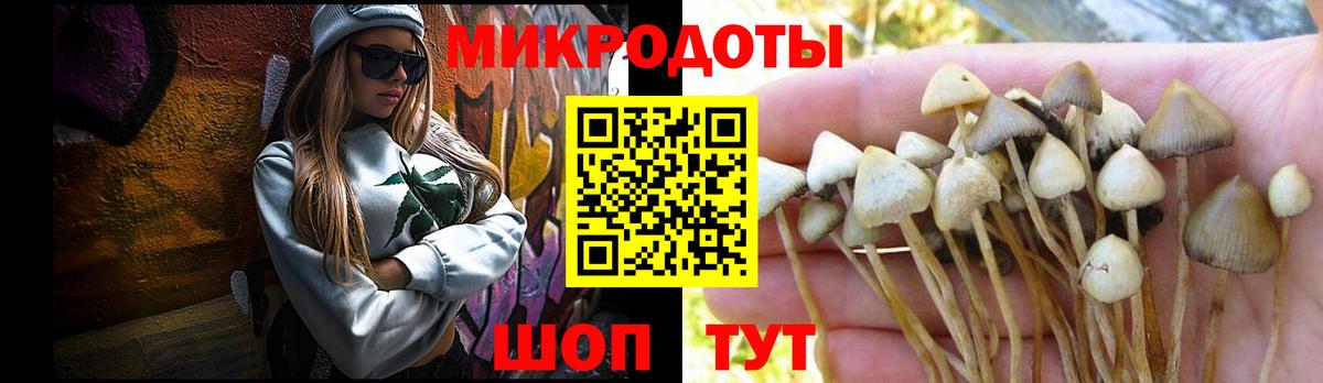 Вятские Поляны  Псилоцибиновые грибы Cubensis  цены наркотик  Вход с VPN  Галлюциногенные грибы Psilocybine cubensis 